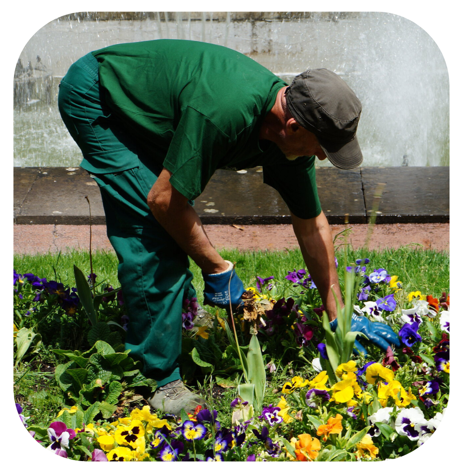 Servicio de Jardinería y Control